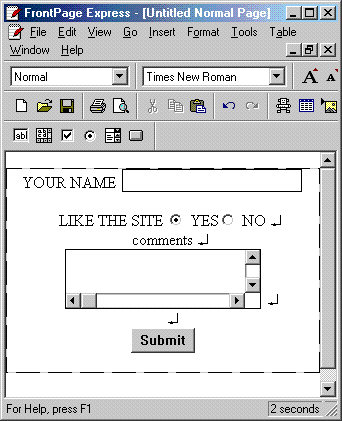 frontpage express indow showing form addition with multiple fields