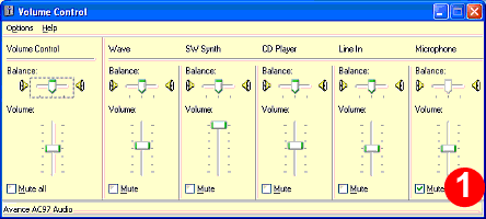 volume control window